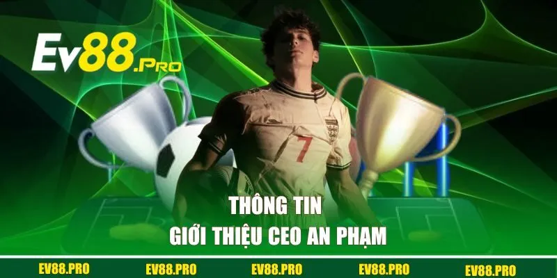Thông tin giới thiệu CEO An Phạm