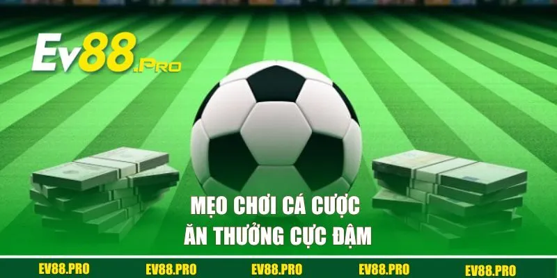 Mẹo chơi cá cược ăn thưởng cực đậm